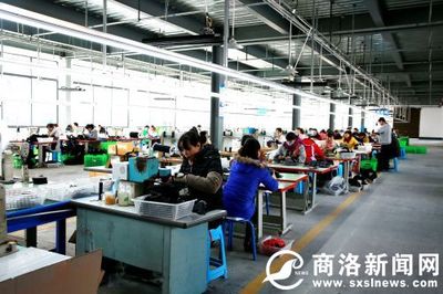 重大項目微掃描:一起了解丹鳳鳳發實業保健鞋、毛坪農業產業園項目