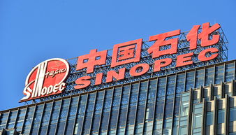 A股77家公司上半年獲政府補(bǔ)貼過(guò)億，中國(guó)石化成“補(bǔ)貼王”